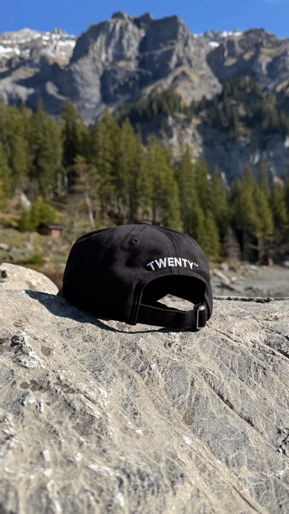 Schwarze Twenty Cap auf einem Felsen vor Bergen und Tannenwald